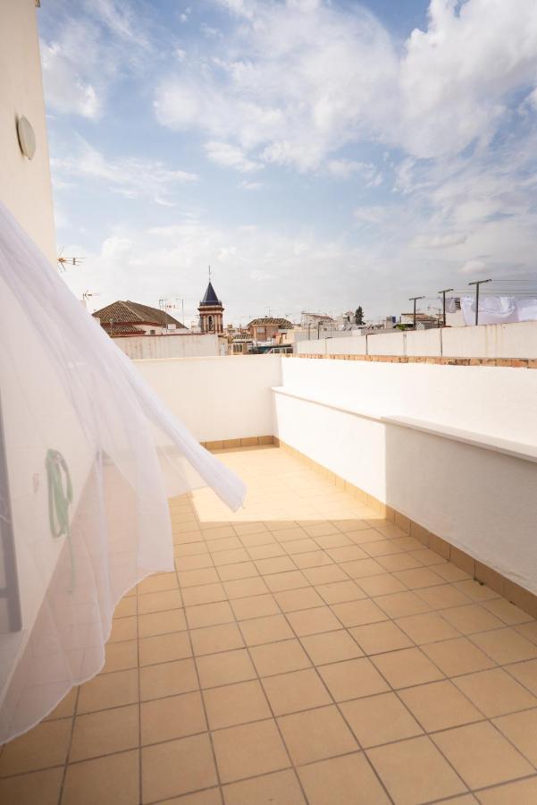 Gotoseville Altair * Sewilla